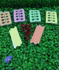 giày dép thời trang xuất khẩu nf